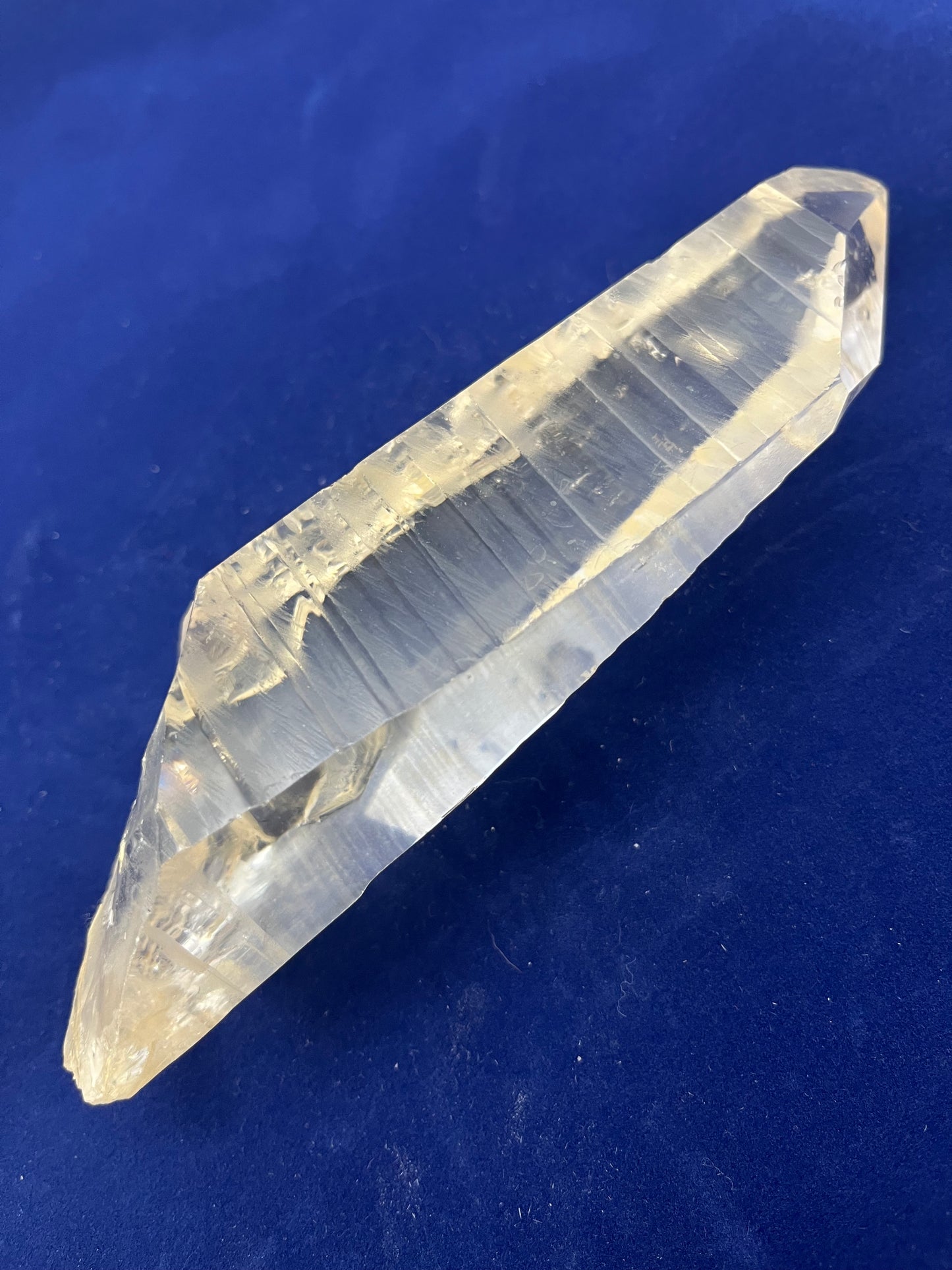XQ Lemurian