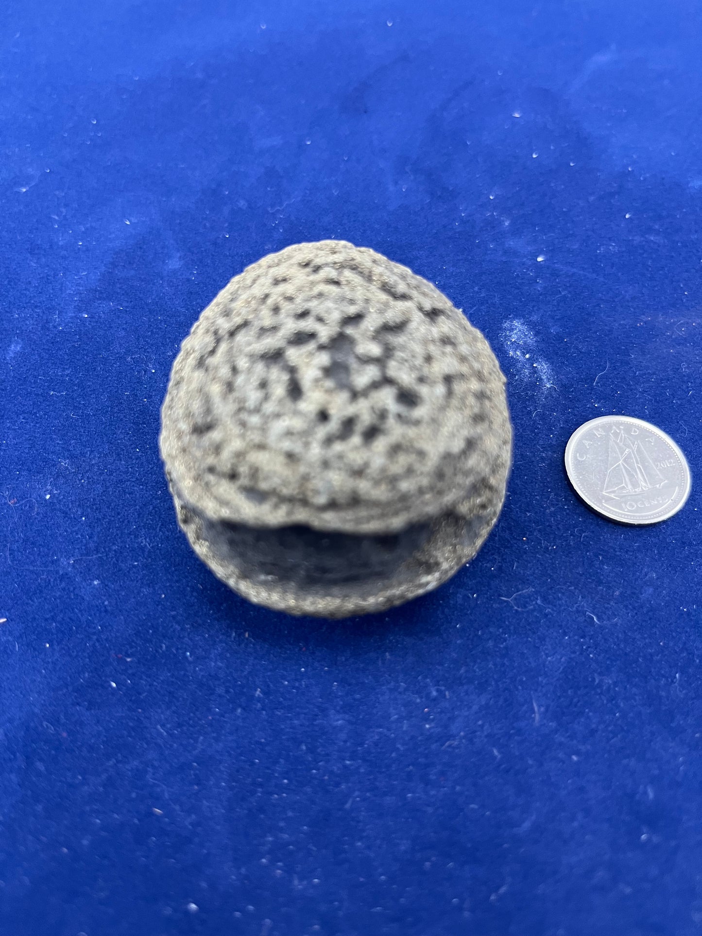 Pyrite Matrix Specimen