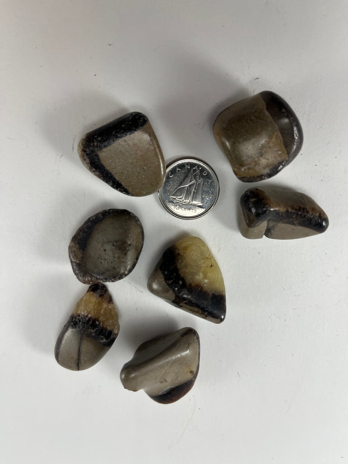 Septarian