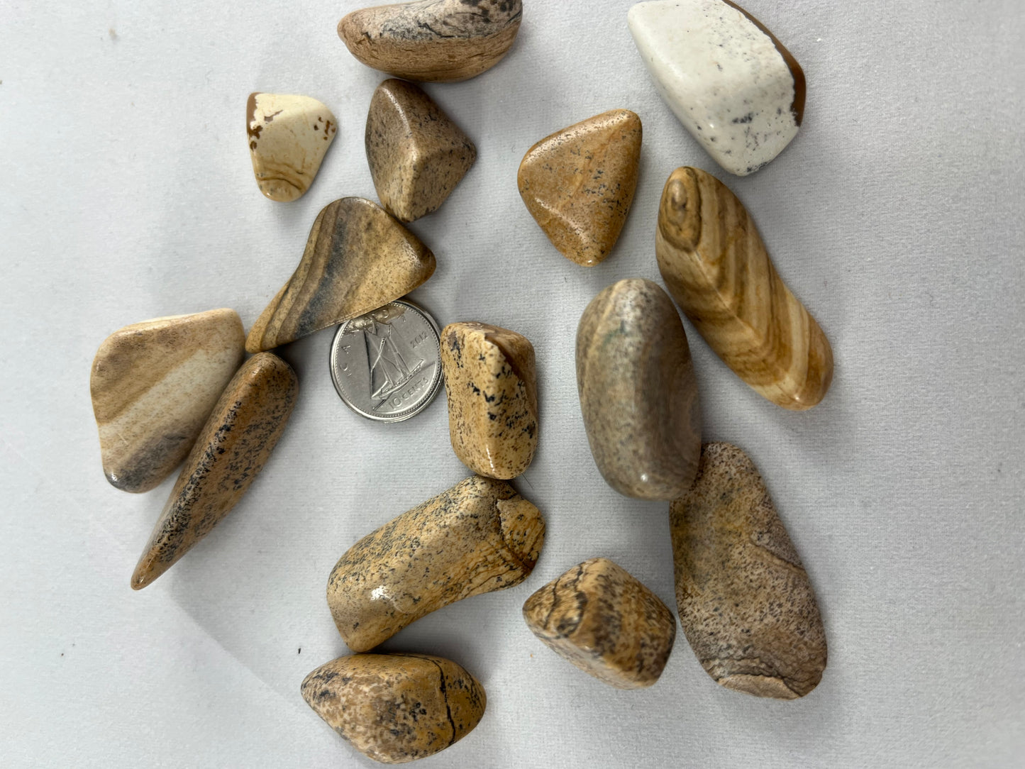Picture Jasper
