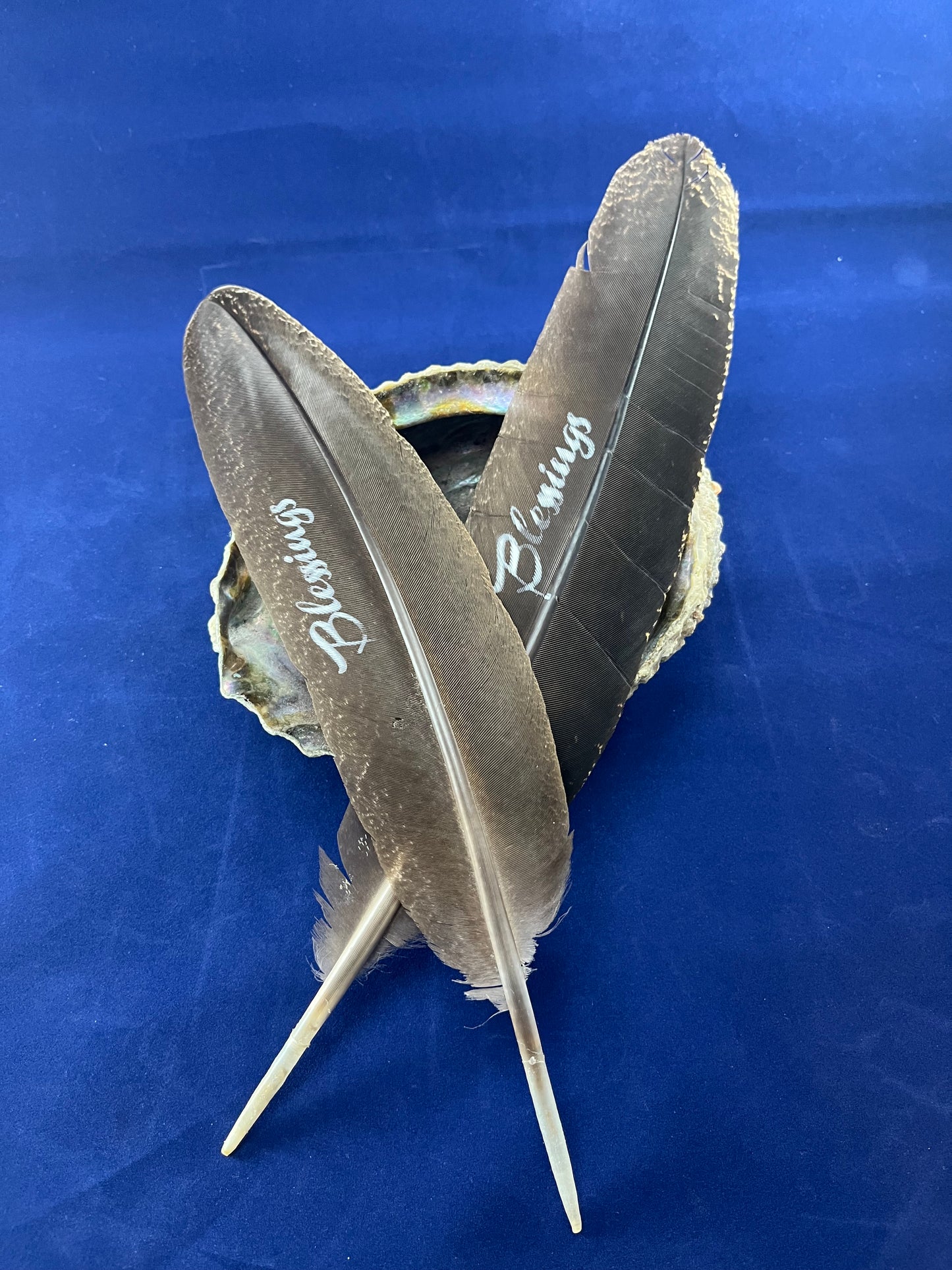 Cleansing Feather - Blessings