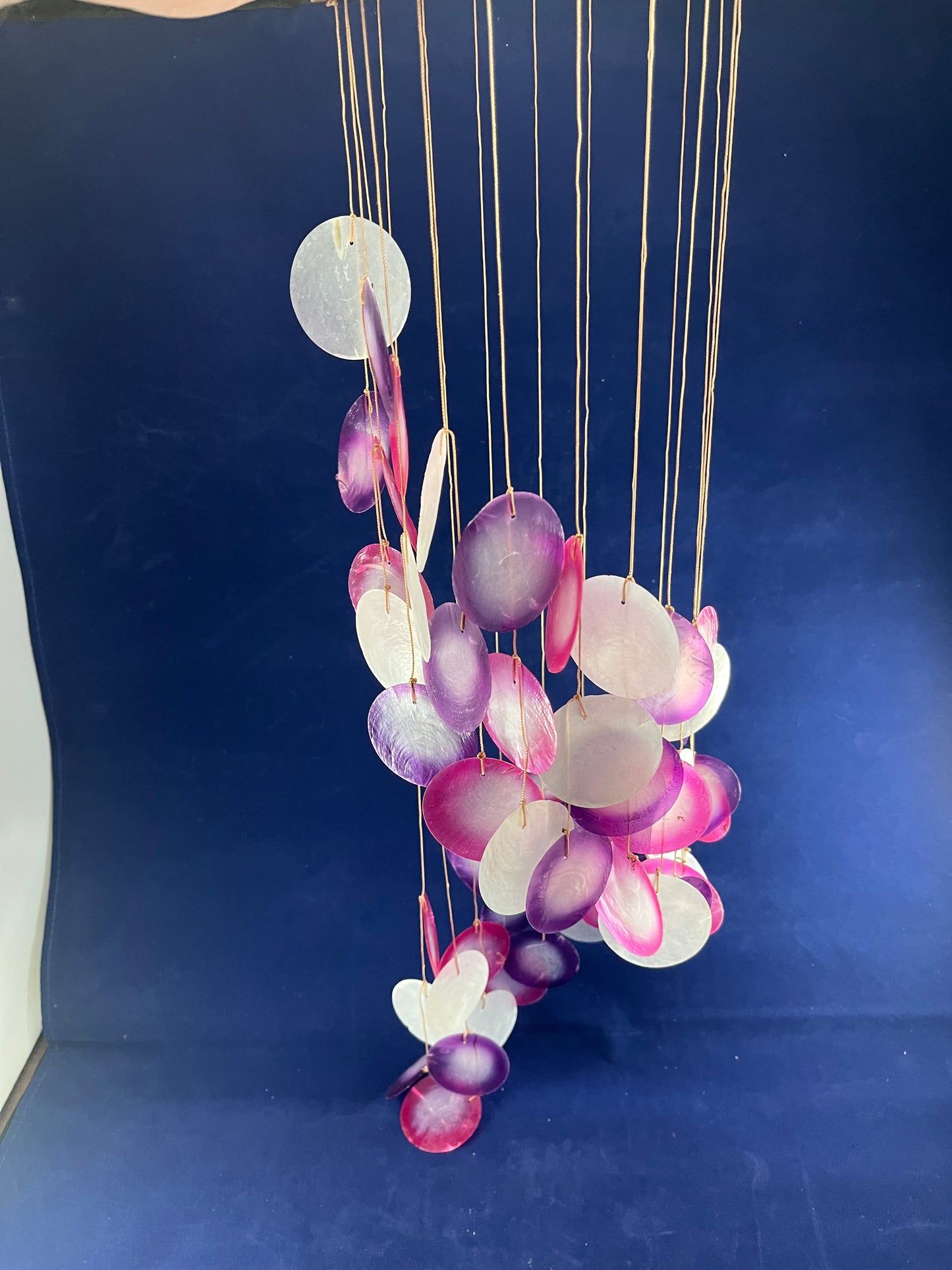 Spiral Shell Chimes - Purple / Pink