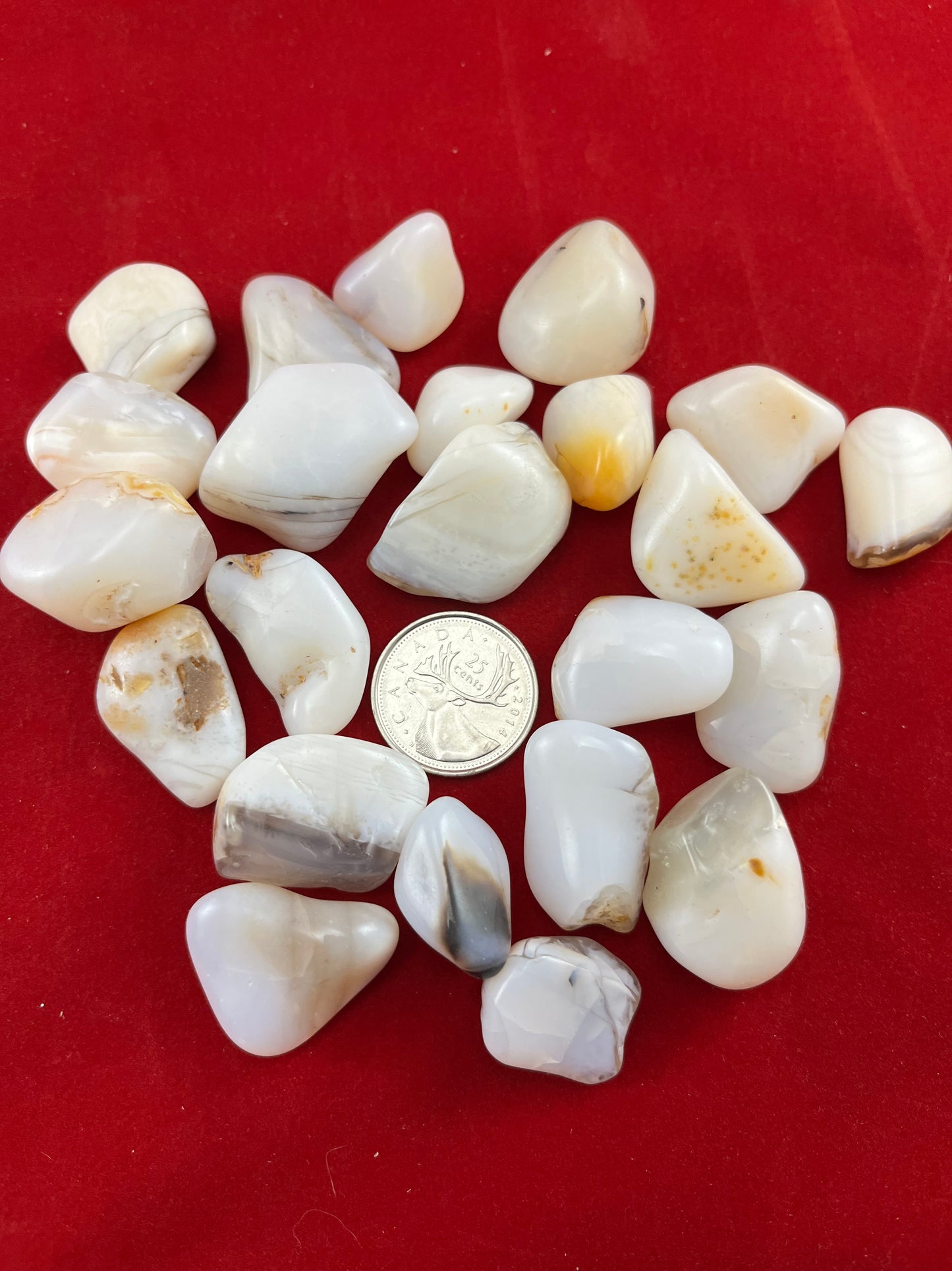 White Opal