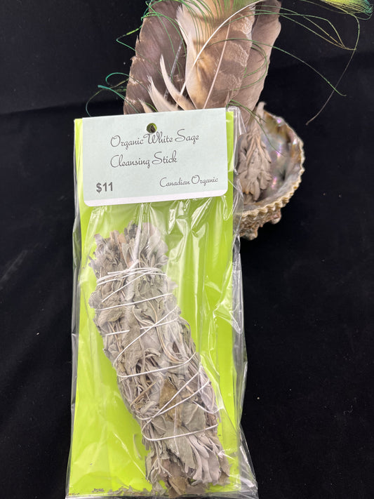 5-6 inch Organic White Sage