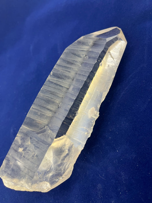 XQ Lemurian