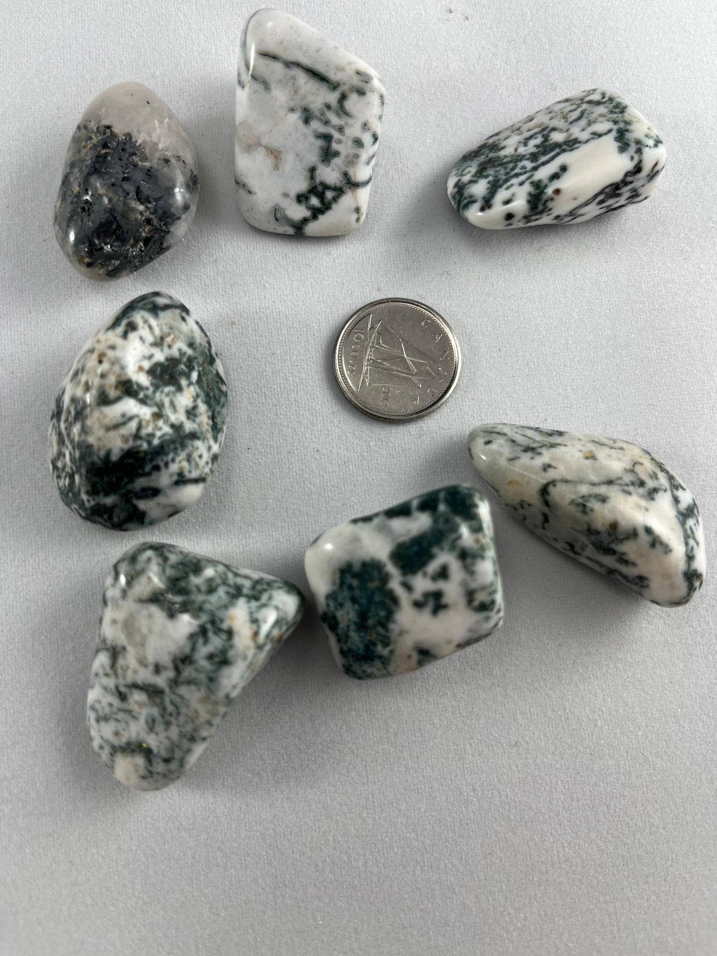 Tree Agate