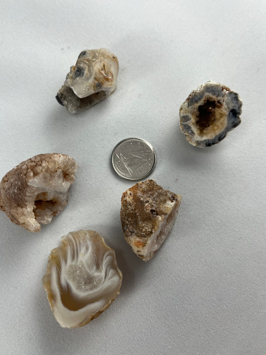 Agate Ocos