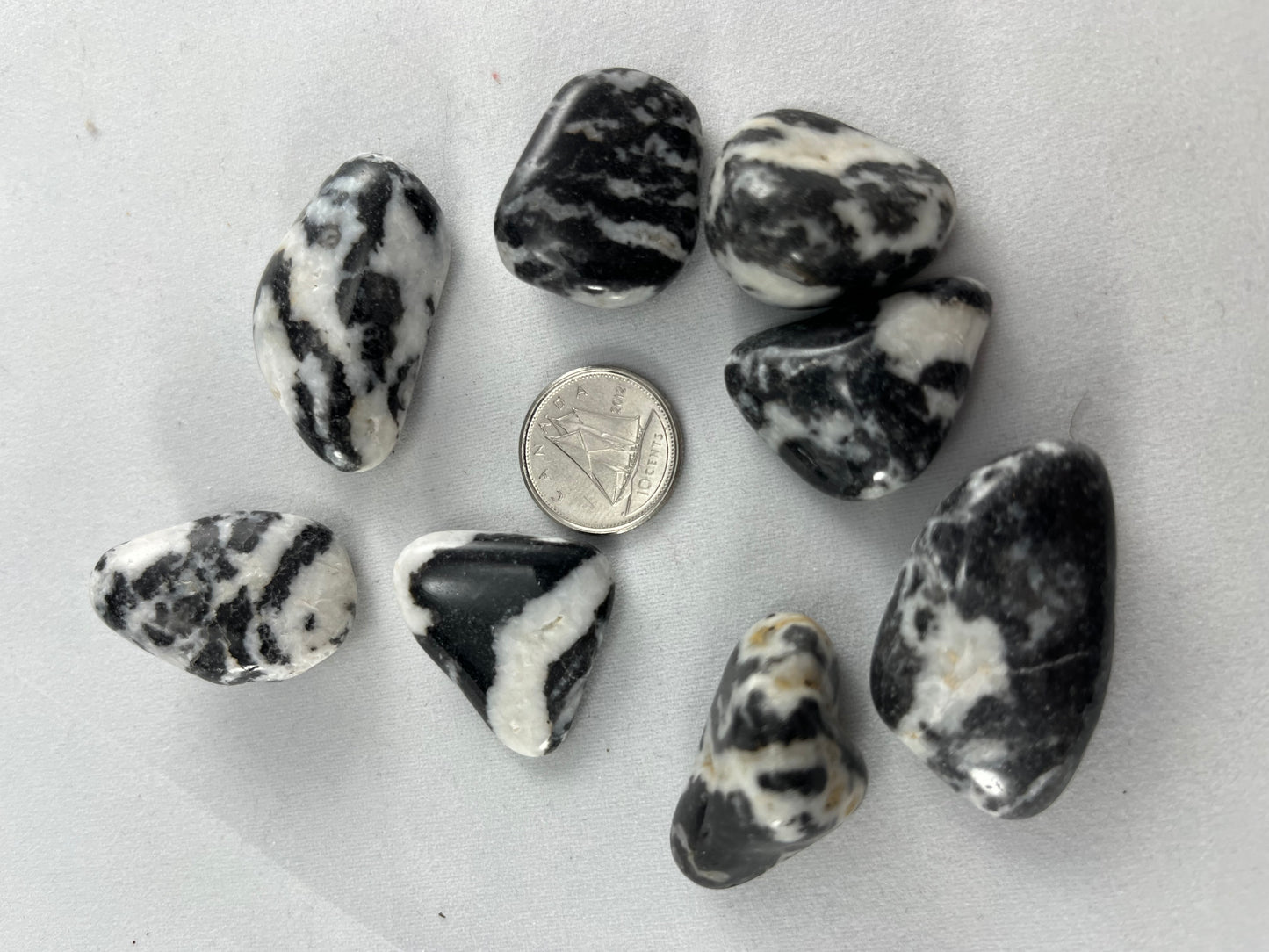 zebra Jasper