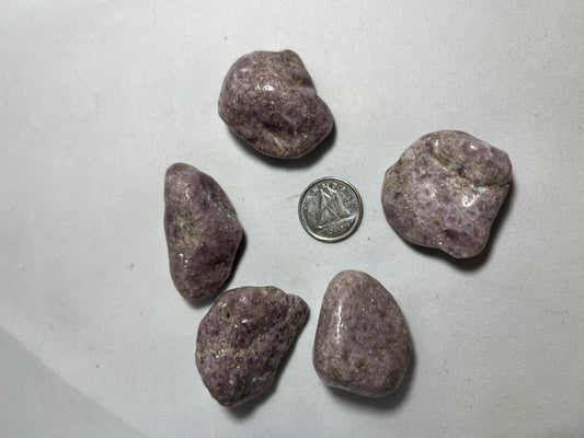 Lepidolite Lg